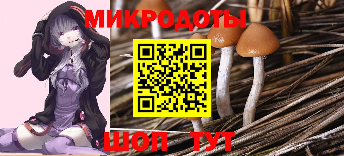 Галлюциногенные грибы ЛСД Кемерово